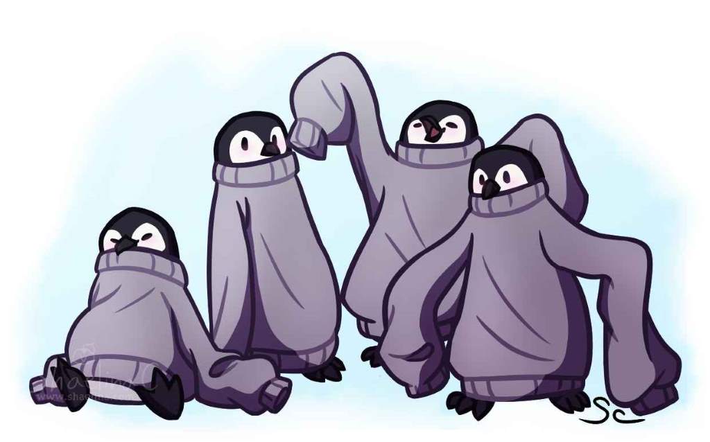 Picture of a group of penguins